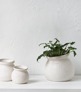 Papaya / 'Gerome' Vase Wide / Medium