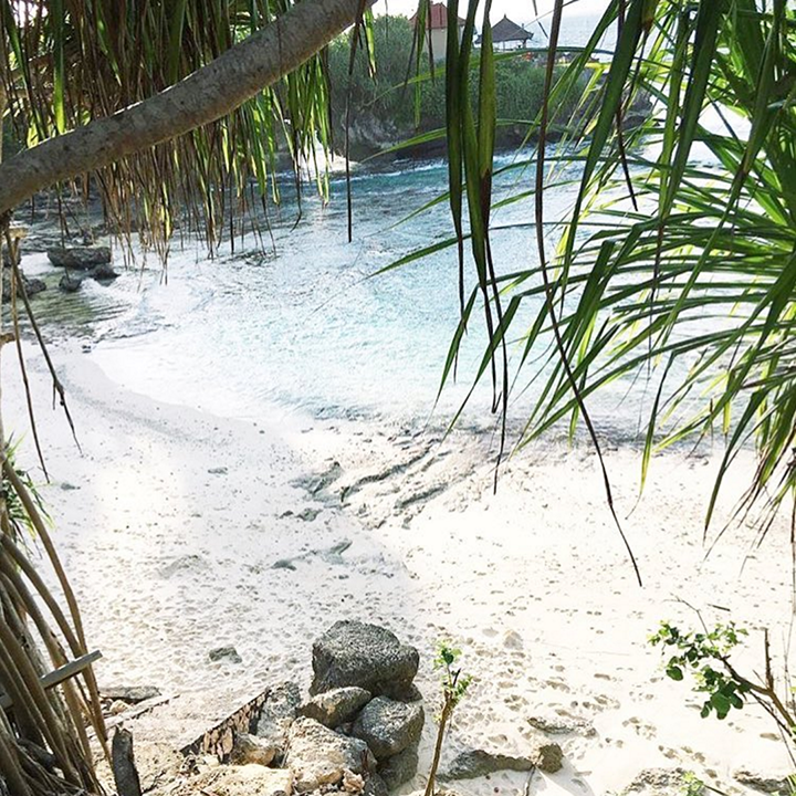 Insta Love / Bamboo Granola