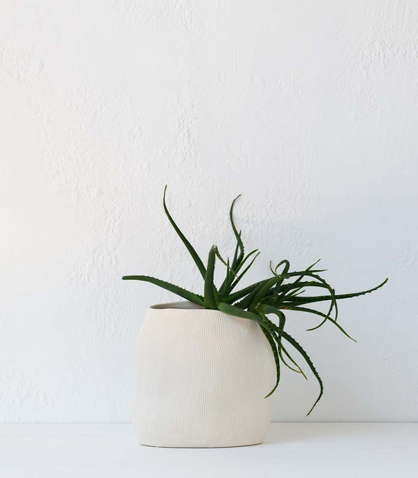 'Chalk' Vase / Tall / Ivory