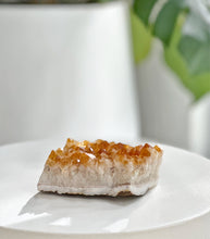 Brazilian Citrine Cluster / 26-11#4