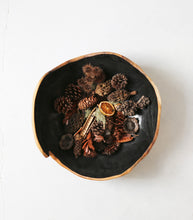 Forest Floor / Sleeve Only / Amberoud