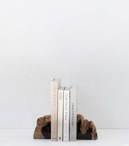 Petrified Wood Bookends / PAIR