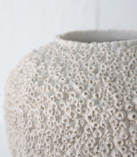 101 Copenhagen / Sunao Vase / Beehive / Petit / Birch