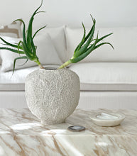 101 Copenhagen / Sunao Vase / Beehive / Mini / Birch