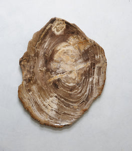 Javanese Petrified Wood Platter / XXL