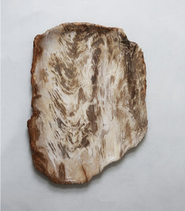 Javanese Petrified Wood Platter / XXL