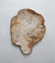 Javanese Petrified Wood Platter / XXL