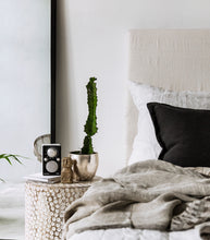 Austin Cushion / Ebony / 50x50cm / Feather Inner